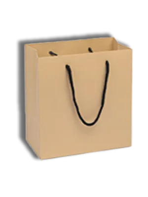 Brown Paper Cake Bags With Handles (10 x 10 inches)